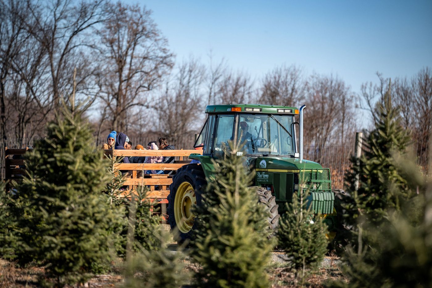 A wagon ride through the Christmas tree fields at Plow Farms