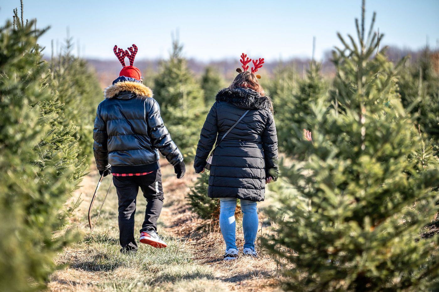 Visitors walking the tree rows at Plow Farms