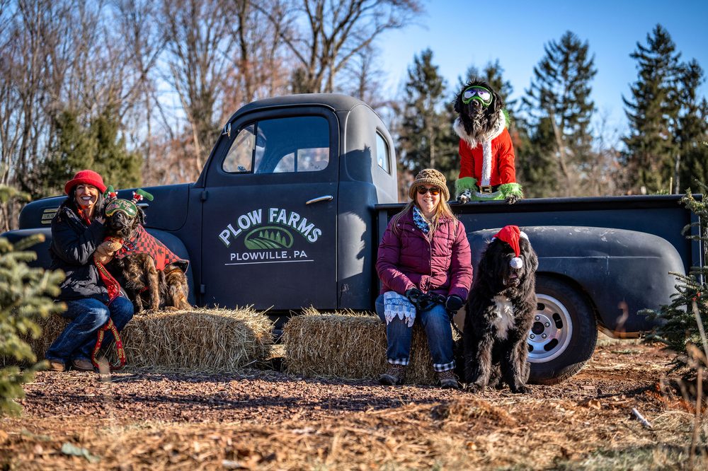 Family and Newfoundlands beside the vintage Plow Farms truck