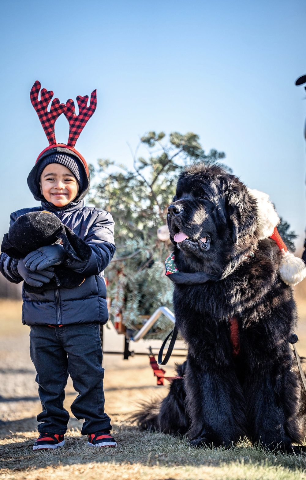A young visitor with a Newfoundland in a Santa hat